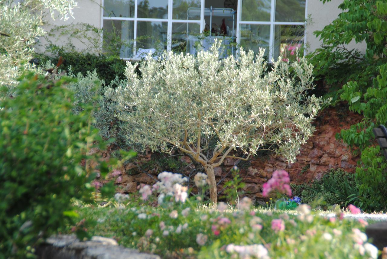 B&B La Badelle Gordes Exterior foto